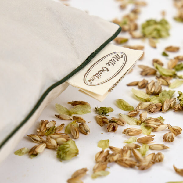 Oreillers à la fleur de houblon des Flandres – Image 4