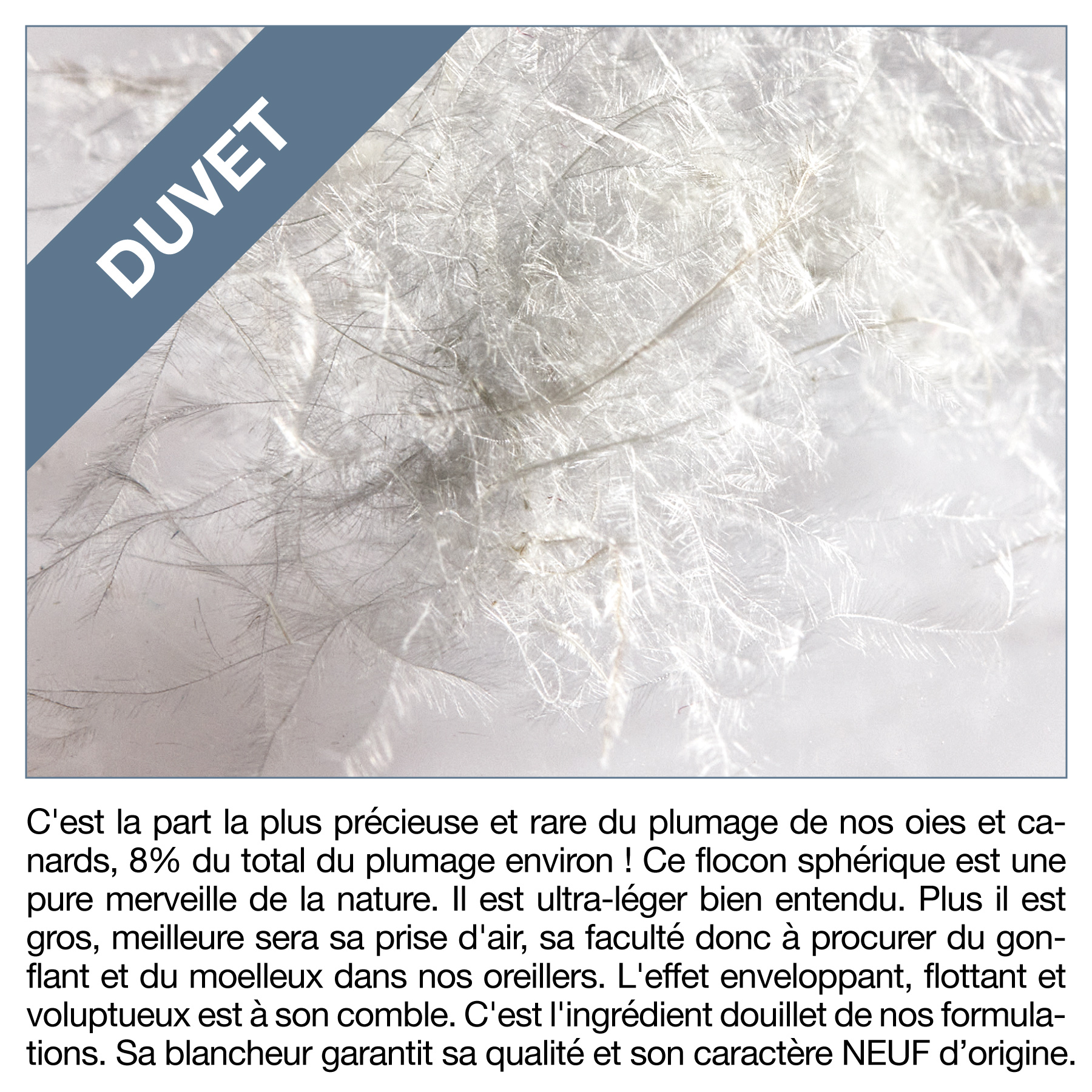 TRIPLE ZERO pur duvet d'oie - Fiche Produit EDREDON GONFLANT 160