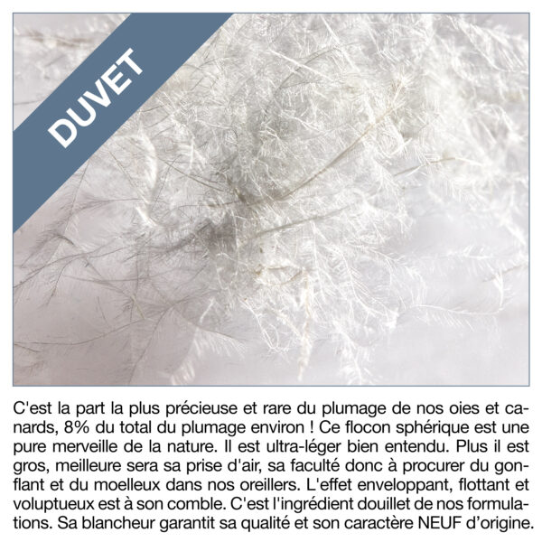 Couette d'été en duvet d'oie dim. spéciales 300 x 240 cm – Image 4