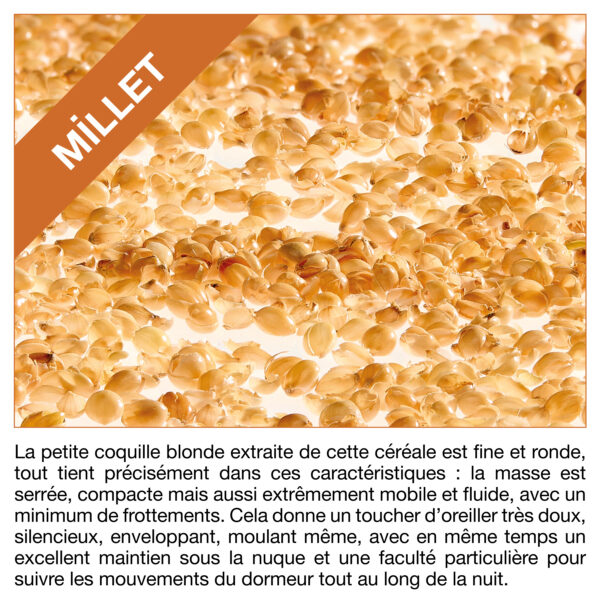 Recharge en balles de millet bio 2 kg – Image 3