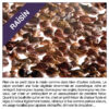Bouillotte de mes envies aux pépins de raisin – Image 8