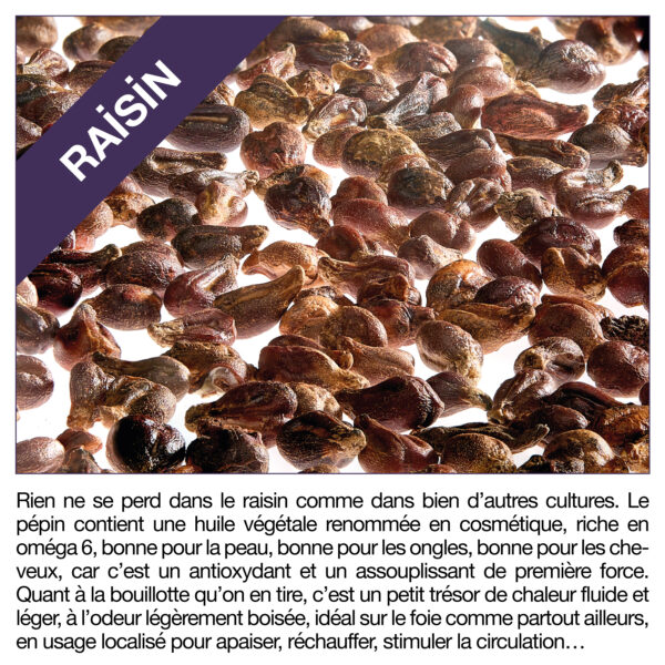 Bouillotte de mes envies aux pépins de raisin – Image 8