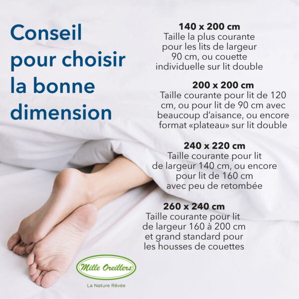 Couettes d'été en duvet d'oie dimensions standards – Image 10
