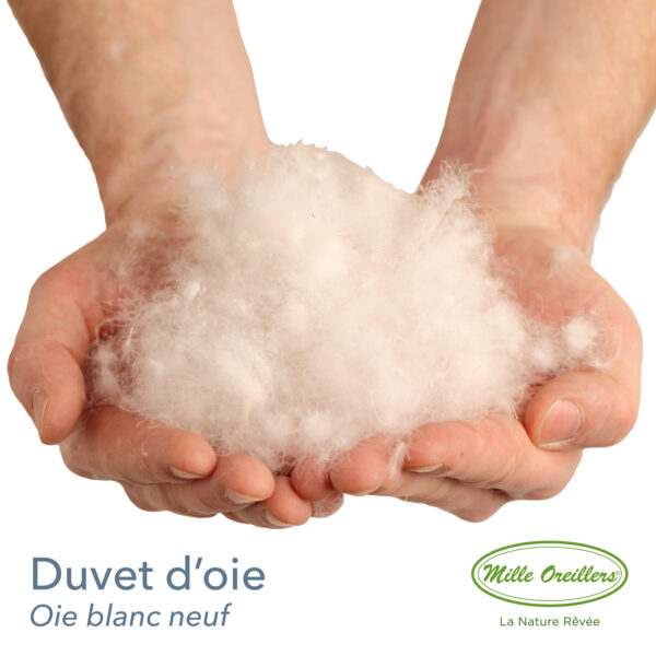 Oreillers en duvet d'oie - version consistante – Image 3
