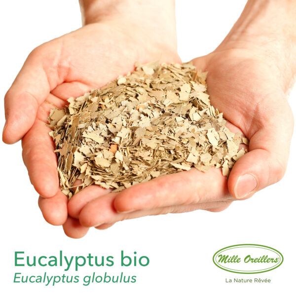 Diffuseur d'eucalyptus bio – Image 5