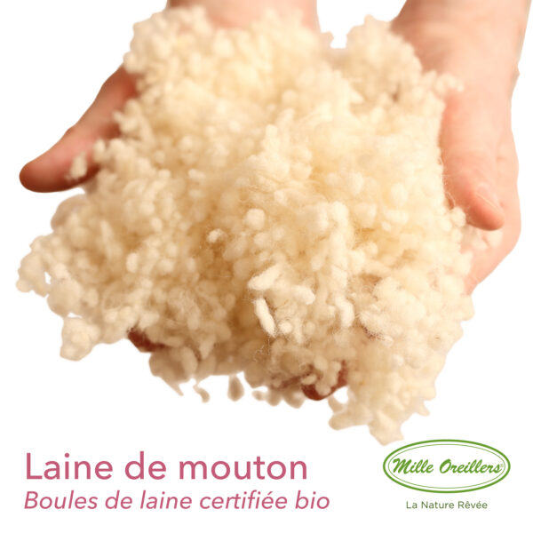 Oreillers en laine vierge – Image 6