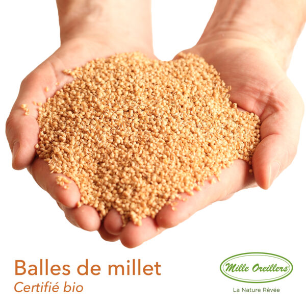 Recharge en balles de millet bio 2 kg – Image 2